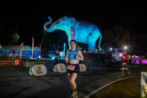 BIB: 
                            <button type="button" onclick="openModal(26552379)" class="btn btn-primary btn-sm float-right btn-popup" data-toggle="modal" data-target=".modal-high-quality">
                        <i class="fas fa-shopping-cart"></i> Add to Cart
                    </button>
                                            <button type="button" onclick="isThisMe(26552379, true)" class="btn btn-success btn-sm float-right btn-popup btn-isme hidden" data-toggle="tooltip" data-placement="bottom" title="นี่คือรูปของคุณใช่ไหม คลิกที่นี่เพื่อเอาเข้าอัลบั้ม">
                        <i class="fas fa-plus"></i> Add to album
                    </button>
                    <button type="button" onclick="isThisMe(26552379, false)" class="btn btn-warning btn-sm float-right btn-popup btn-isnotme hidden">
                        <i class="fas fa-ban"></i> Remove from album
                    </button>